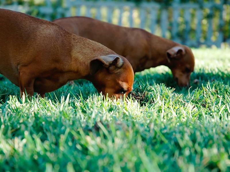 sudoku no mistakes screenshot 6